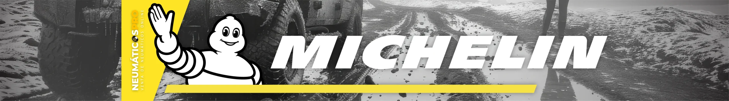 Michelin
