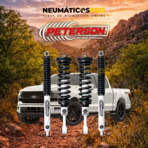 KIT DE SUSPENSION FORD F150 2015+