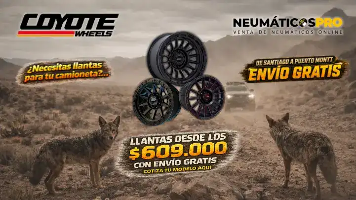 Coyote
